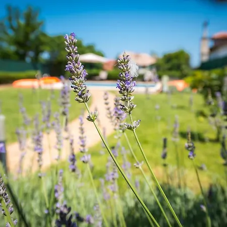 Villa Luxury House In Chervenka Next To Gradina