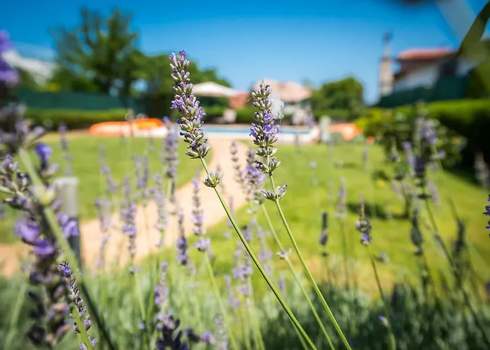 Луксозна вила Luxury House In Chervenka Next To Gradina